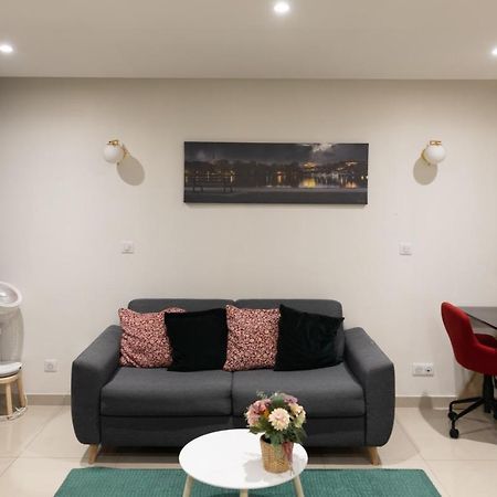 Elegant Et Tres Spacieux, Mon Studio Vous Seduira! Metz Luaran gambar